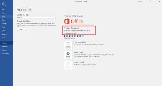 Microsoft Office 2019